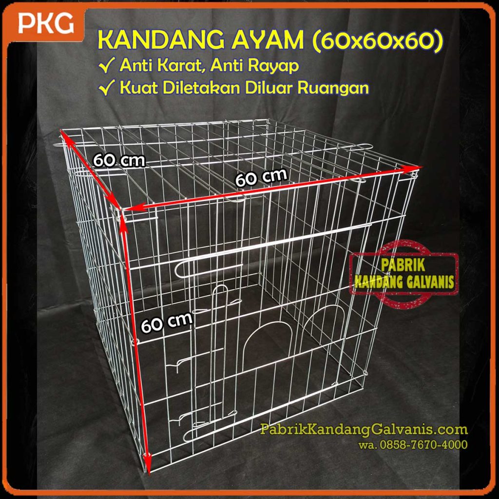 Tampilan kandang ayam galvanis kotak dengan desain modern.