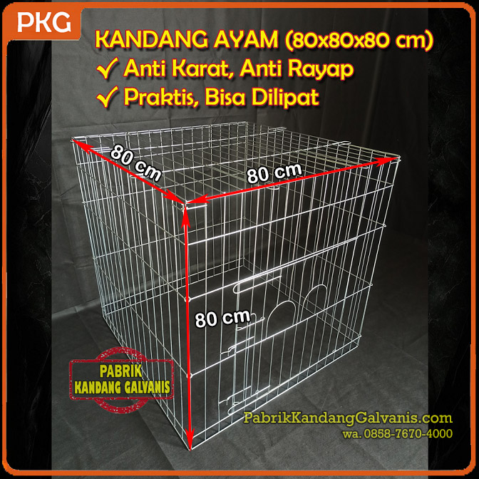 Kandang ayam galvanis kotak dengan jeruji kokoh dan jarak ideal.