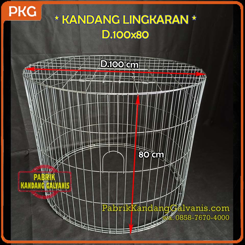 Kandang Ayam dengan diameter 100 cm dan tinggi 80 cm